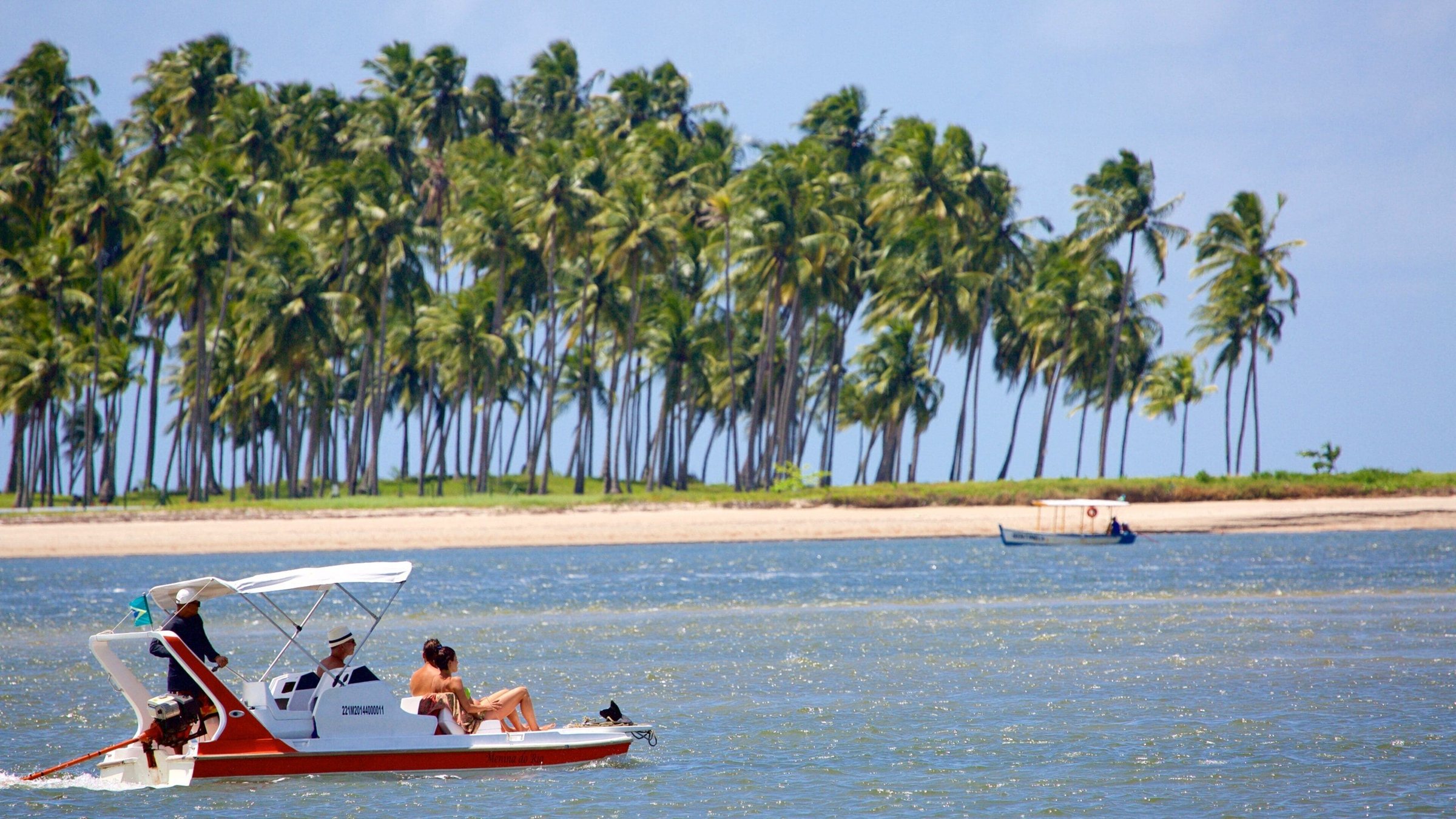 Coqueiros na praia de Tamandaré